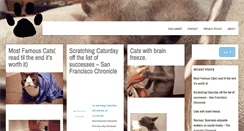 Desktop Screenshot of catinfofacts.com