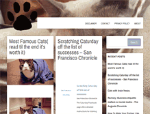 Tablet Screenshot of catinfofacts.com